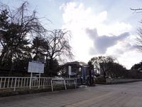 Medium_bijyutsukan050_r