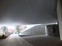 Medium_dscf0048