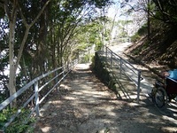 Medium_通路