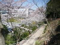 Medium_上から見た通路