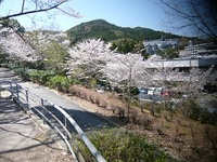 Medium_スロープ途中からの景色