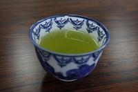 Medium__mg_1619
