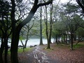 Thumb_縮小
