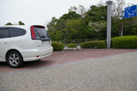 Medium_imgp5572