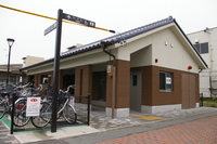 Medium_imgp6882