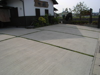 Medium_rimg0135