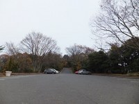 Medium_dudscf0187