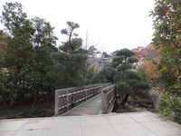 Medium_dudscf0186