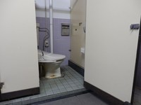 Medium_pa250054