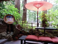 Medium_pa250035