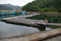 Medium_8
