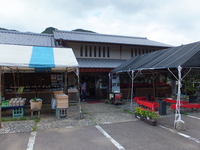 Medium_dscf0520