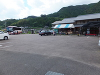 Medium_dscf0521