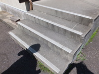 Medium_dscf0449