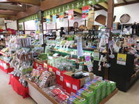 Medium_dscf0497