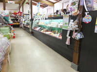 Medium_dscf0499