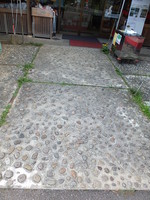 Medium_dscf0526