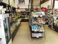 Medium_dscf0502