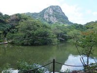 Medium_dscf0661