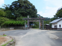 Medium_dscf0595