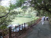 Medium_dscf0603