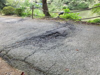 Medium_dscf0609