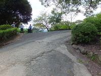 Medium_dscf0648
