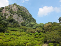 Medium_dscf0640