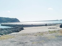 Medium_6