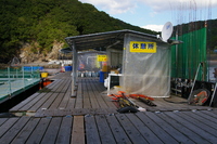 Medium_imgp3534
