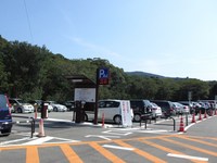 Medium_img_4472