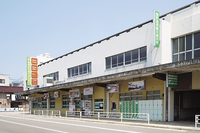 Medium_p211