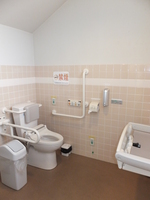 Medium_dscf1779