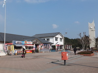 Medium_dscf1839
