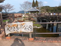 Thumb_dscf1843