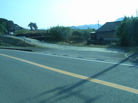 Medium_rimg0001