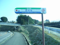 Medium_rimg0002