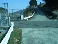 Medium_rimg0003