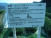 Medium_rimg0007