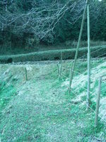 Medium_rimg0006