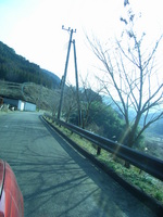 Medium_rimg0019