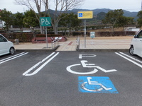 Medium_dscf2859