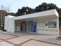 Medium_dscf2883