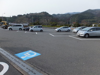 Medium_dscf2881