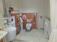 Medium_dscf2865