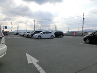 Medium_cimg0220