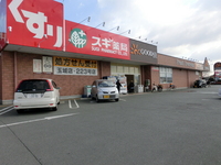 Medium_cimg0221