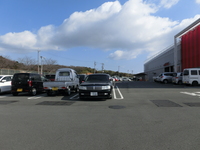 Medium_cimg0244