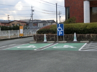 Medium_cimg0215