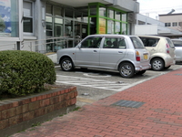 Medium_cimg0282